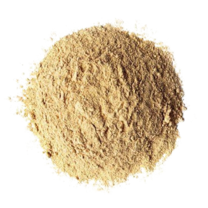 Garlic Powder in bulk packaging for foodservice – Mason Foods UK