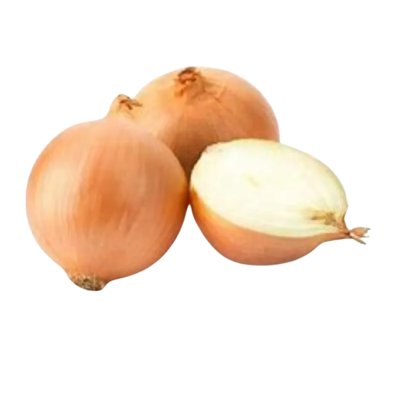 Fresh White Onions 1kg – crisp white onions in 1 kg net Onions White Spanish Sack – bulk Spanish white onions in sack