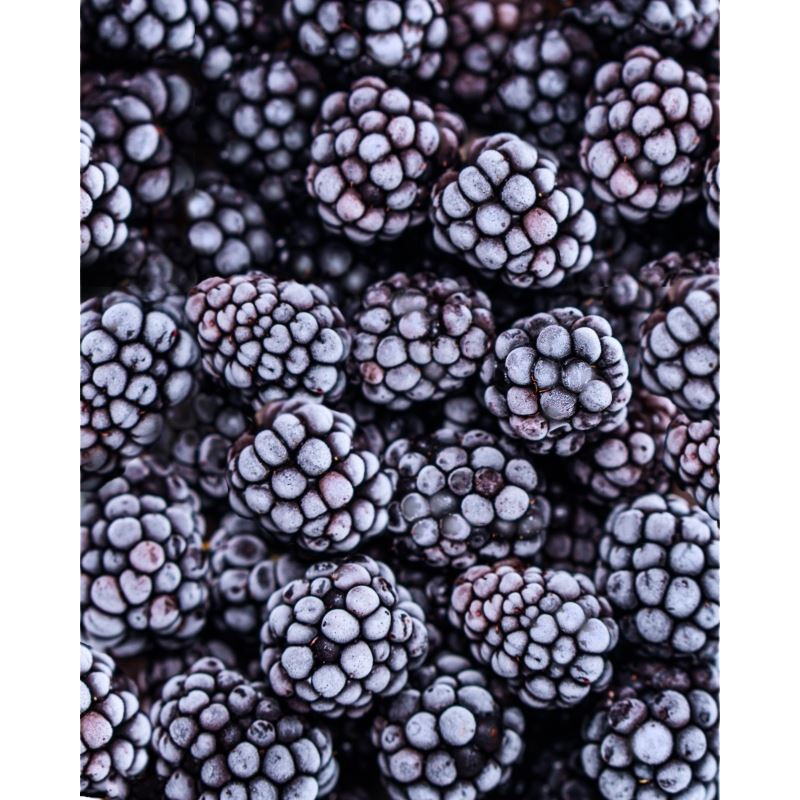 FROZEN BLACKBERRIES Mason Foodservice