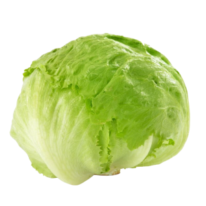 Fresh Lettuce Iceburg – crisp iceberg lettuce heads
