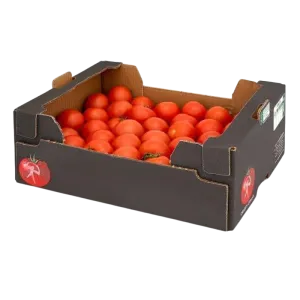 Fresh Vine Tomatoes Case – ripe vine tomatoes in case packaging