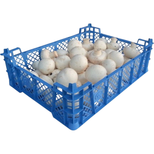 Mushrooms Fresh Cup Tray – fresh cup mushrooms in tray