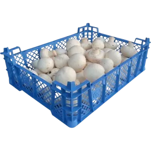 Mushrooms Fresh Cup Tray – fresh cup mushrooms in tray