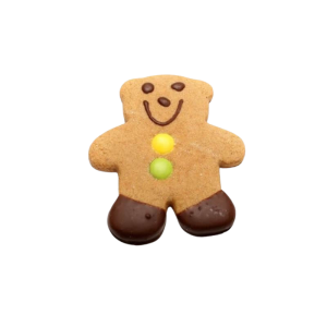 GINGERBREAD TEDDY BEAR – charming gingerbread teddy bear biscuit