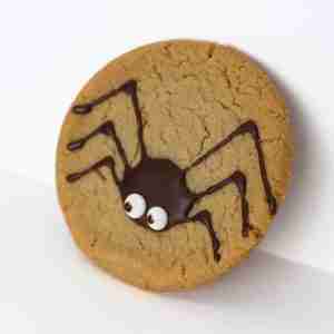 959 Halloween Spider Cookie available at Mason Foodservice