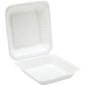 Bagasse Large Meal Box (230x230x50mm/9x9'') White x200