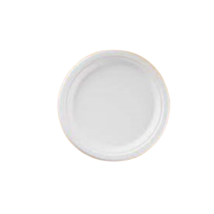 Bagasse Plate Round 9" 225mm 10x50